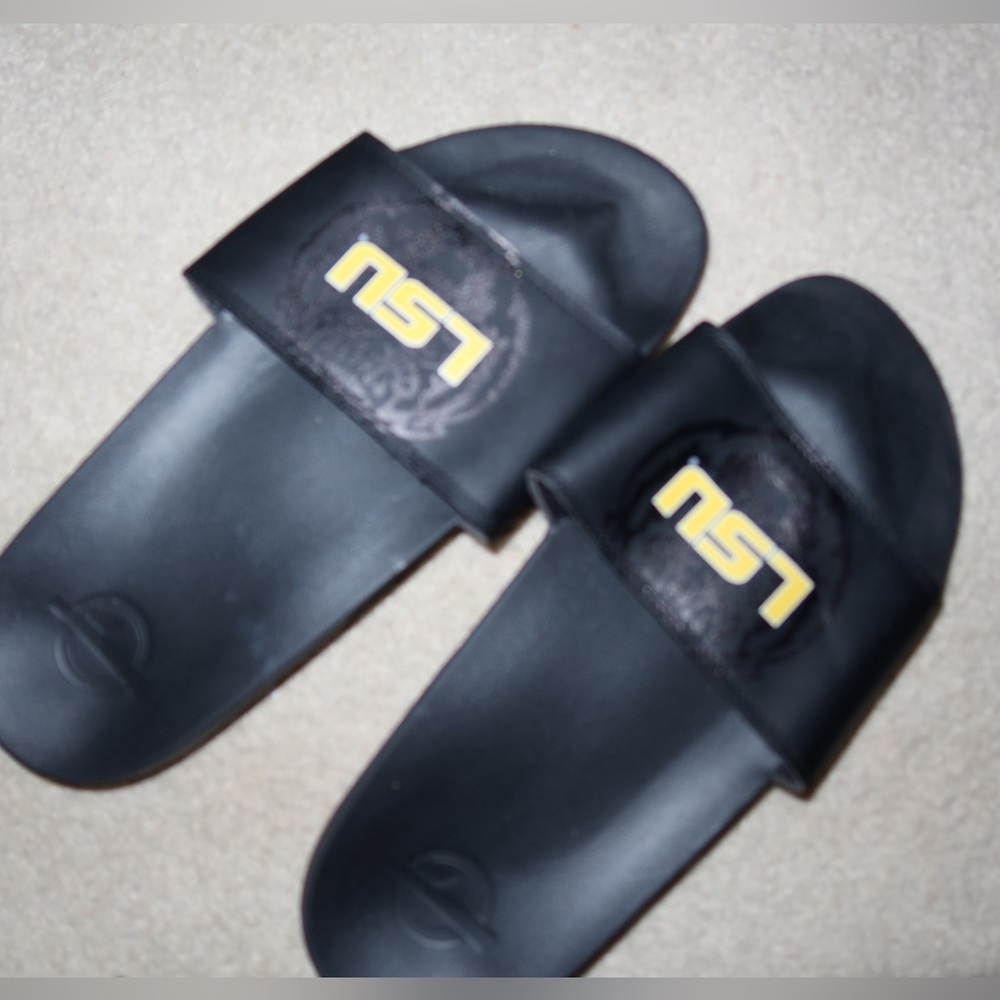 LSU Slides